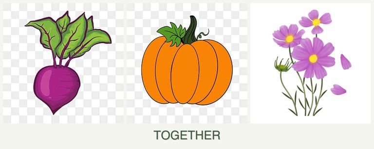 Can you plant beets, pumpkin and cosmos together?