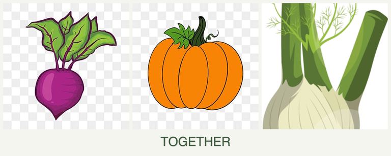 Can you plant beets, pumpkin and fennel together?