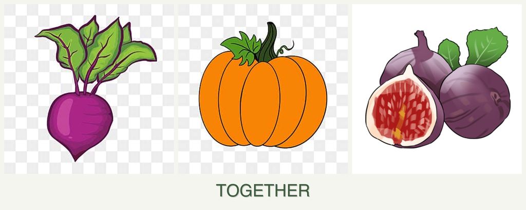 Can you plant beets, pumpkin and figs together?