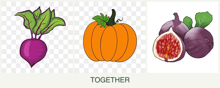 Can you plant beets, pumpkin and figs together?