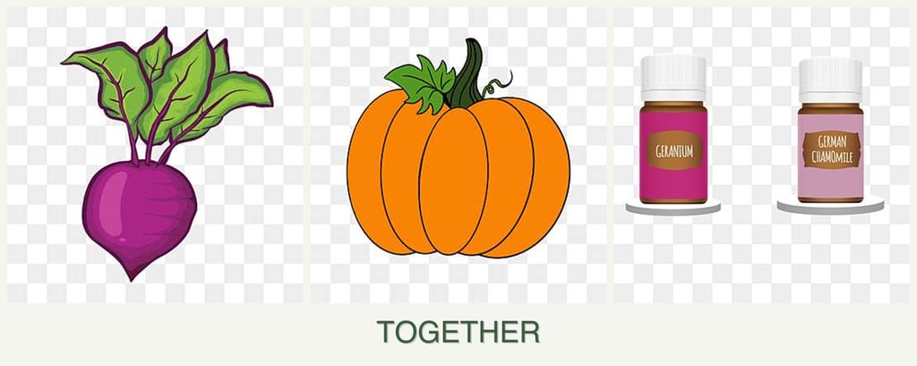 Can you plant beets, pumpkin and geraniums together?