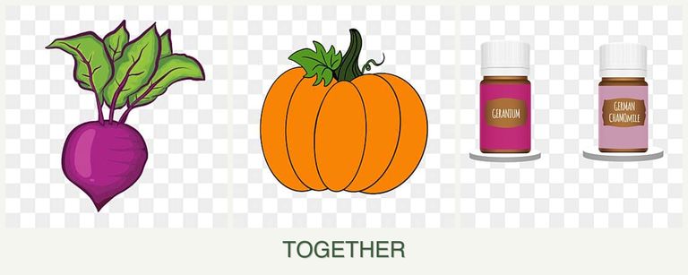 Can you plant beets, pumpkin and geraniums together?