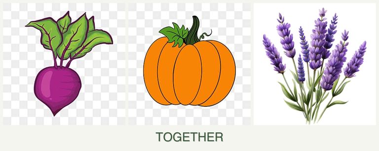Can you plant beets, pumpkin and lavender together?