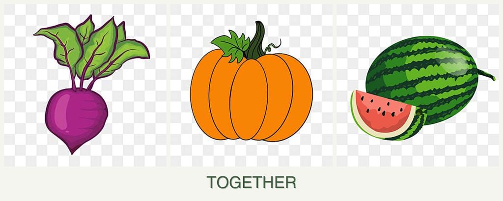 Can you plant beets, pumpkin and melons together?