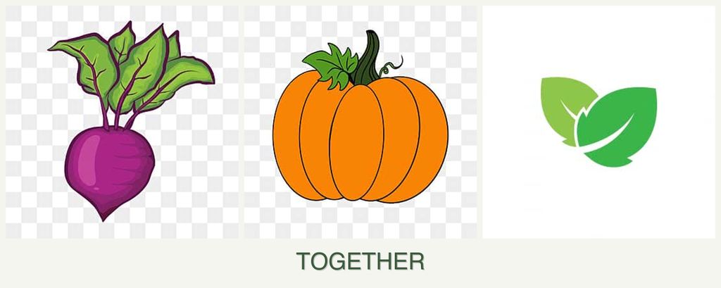 Can you plant beets, pumpkin and mint together?
