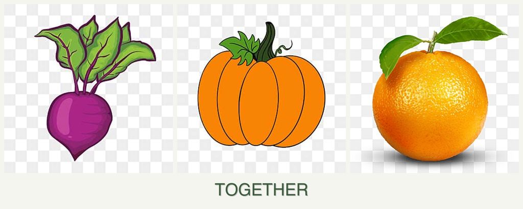 Can you plant beets, pumpkin and oranges together?