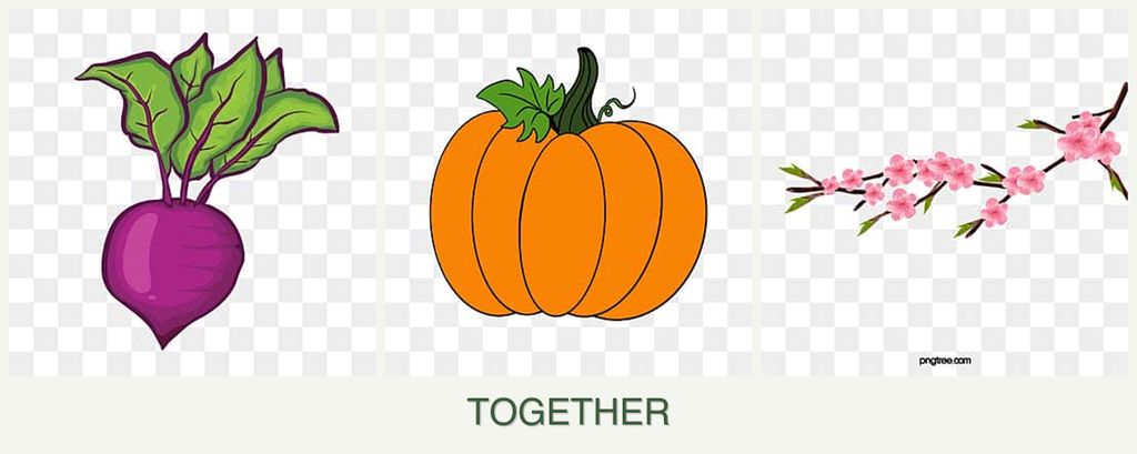 Can you plant beets, pumpkin and peaches together?