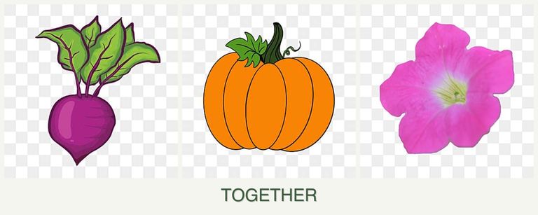 Can you plant beets, pumpkin and petunias together?