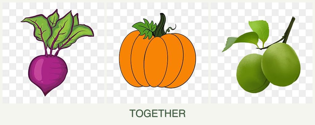 Can you plant beets, pumpkin and plums together?