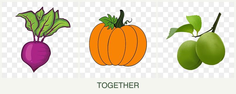 Can you plant beets, pumpkin and plums together?