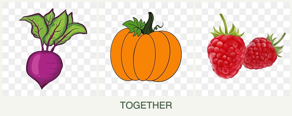 Can you plant beets, pumpkin and raspberries together?