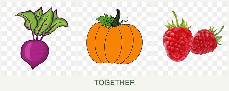 Can you plant beets, pumpkin and raspberries together?