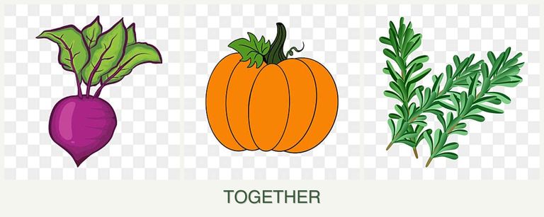 Can you plant beets, pumpkin and rosemary together?