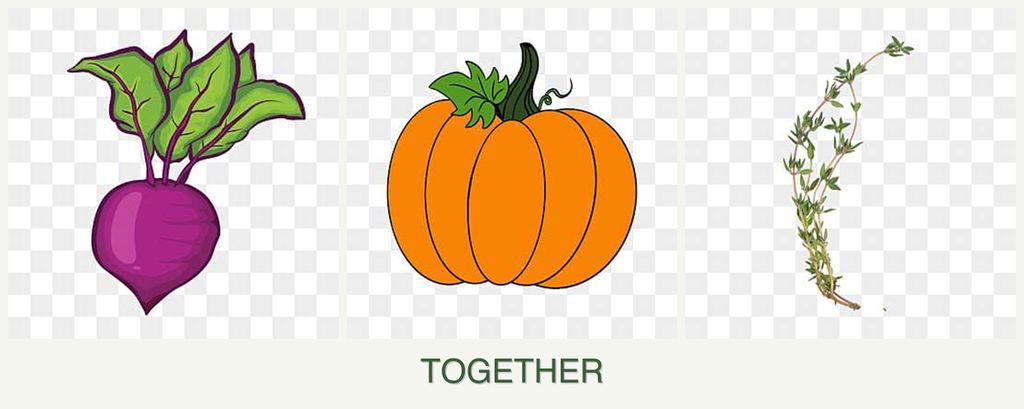 Can you plant beets, pumpkin and thyme together?