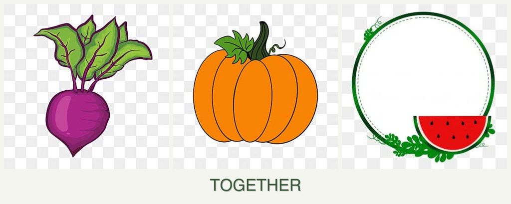 Can you plant beets, pumpkin and watermelons together?