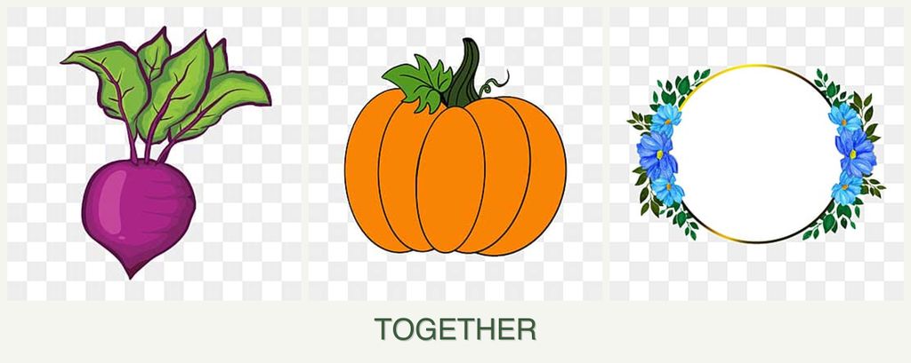 Can you plant beets, pumpkin and zinnias together?