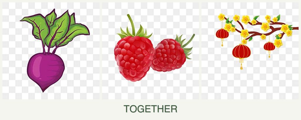 Can you plant beets, raspberries and apricots together?