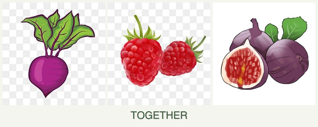 Can you plant beets, raspberries and figs together?