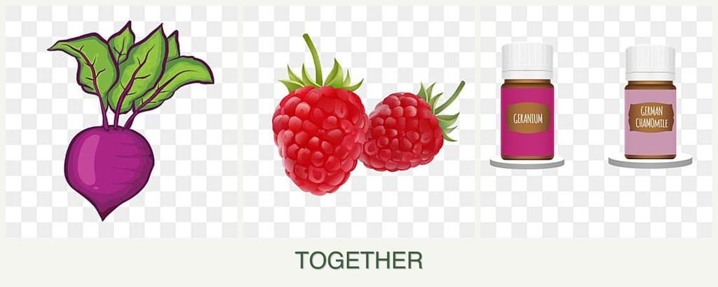 Can you plant beets, raspberries and geraniums together?