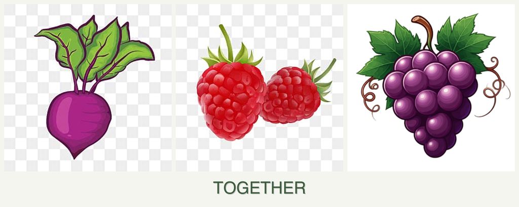 Can you plant beets, raspberries and grapes together?