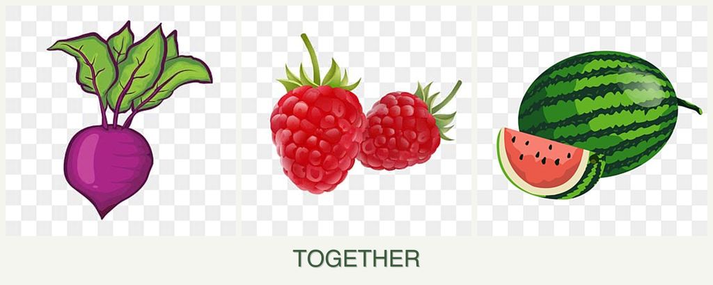 Can you plant beets, raspberries and melons together?