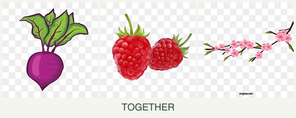 Can you plant beets, raspberries and peaches together?