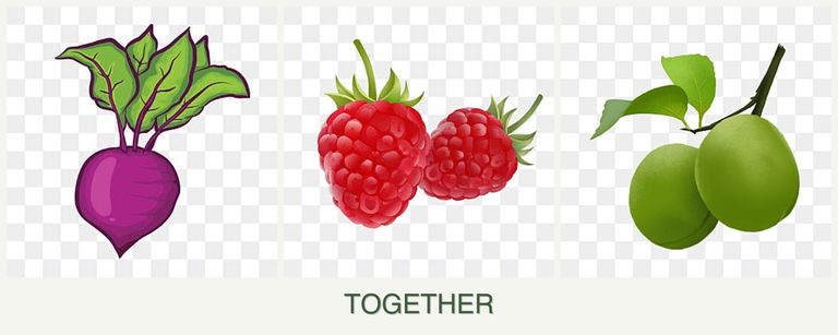 Can you plant beets, raspberries and plums together?