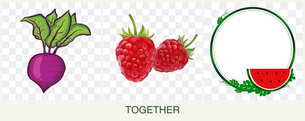 Can you plant beets, raspberries and watermelons together?