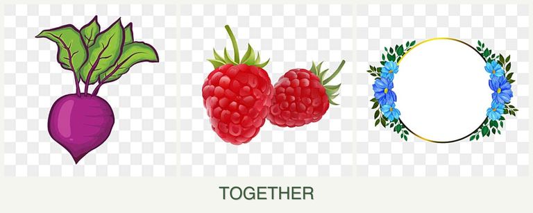 Can you plant beets, raspberries and zinnias together?