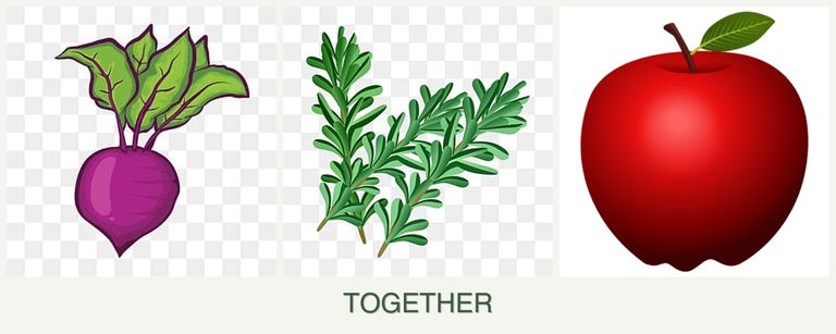 Can you plant beets, rosemary and apples together?