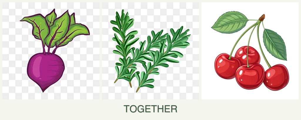 Can you plant beets, rosemary and cherries together?