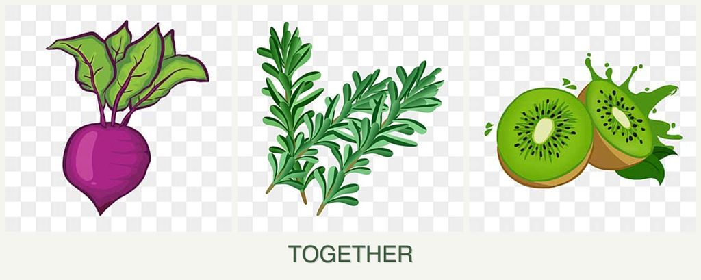 Can you plant beets, rosemary and kiwi together?