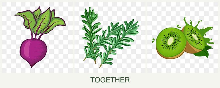 Can you plant beets, rosemary and kiwi together?