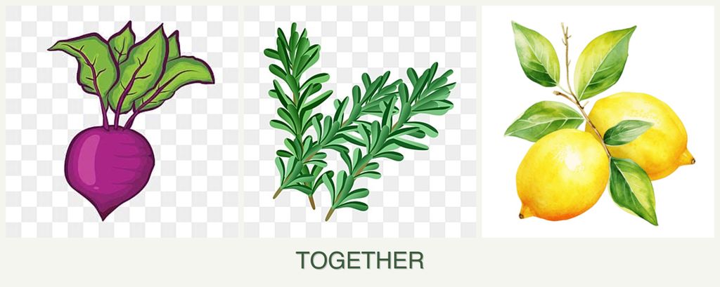 Can you plant beets, rosemary and lemons together?