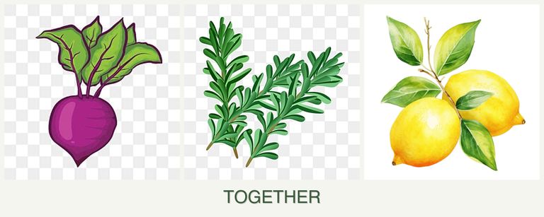 Can you plant beets, rosemary and lemons together?