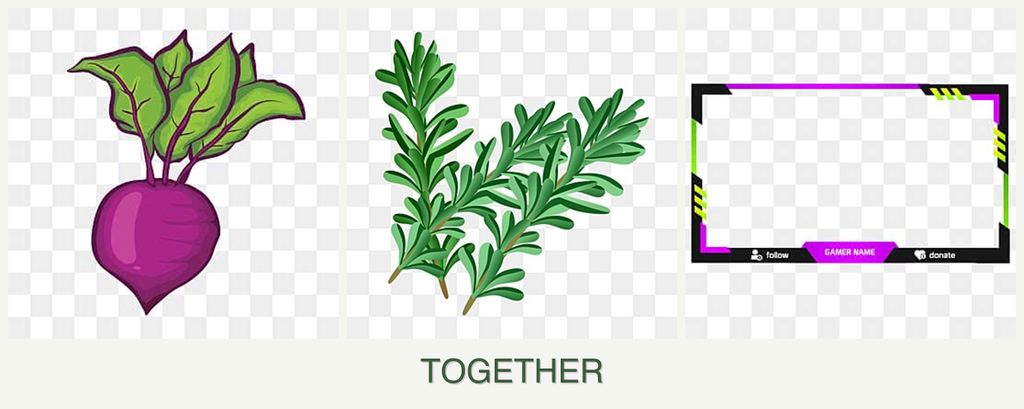 Can you plant beets, rosemary and limes together?