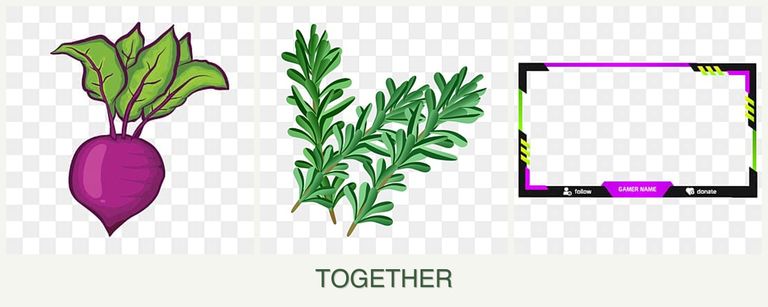 Can you plant beets, rosemary and limes together?