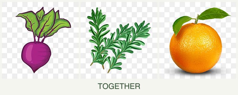 Can you plant beets, rosemary and oranges together?