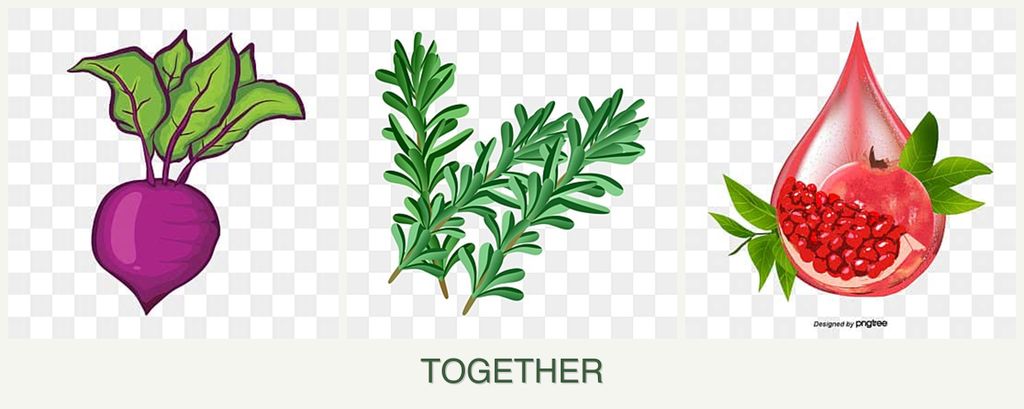 Can you plant beets, rosemary and pomegranates together?
