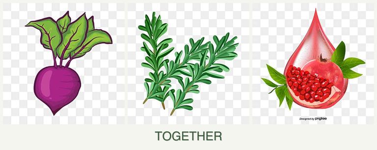 Can you plant beets, rosemary and pomegranates together?