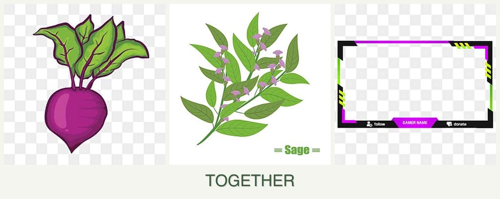 Can you plant beets, sage and limes together?