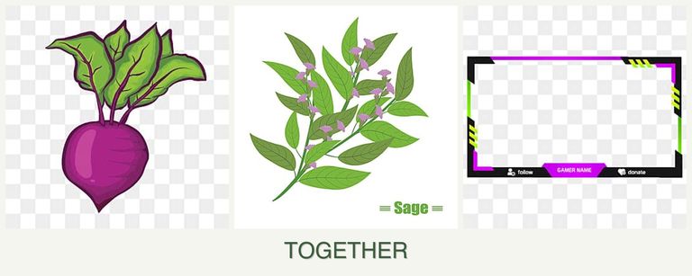 Can you plant beets, sage and limes together?