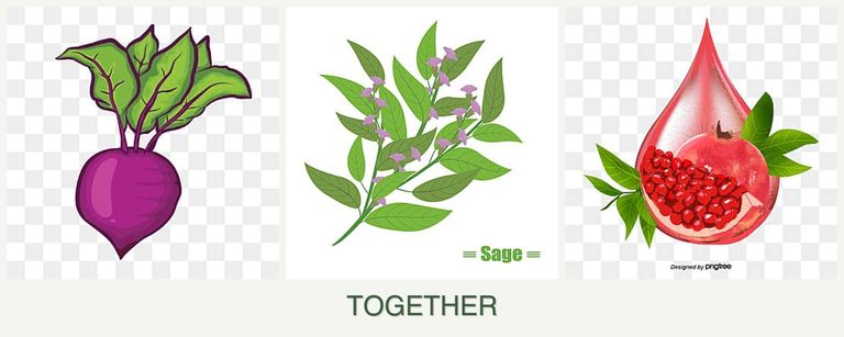 Can you plant beets, sage and pomegranates together?