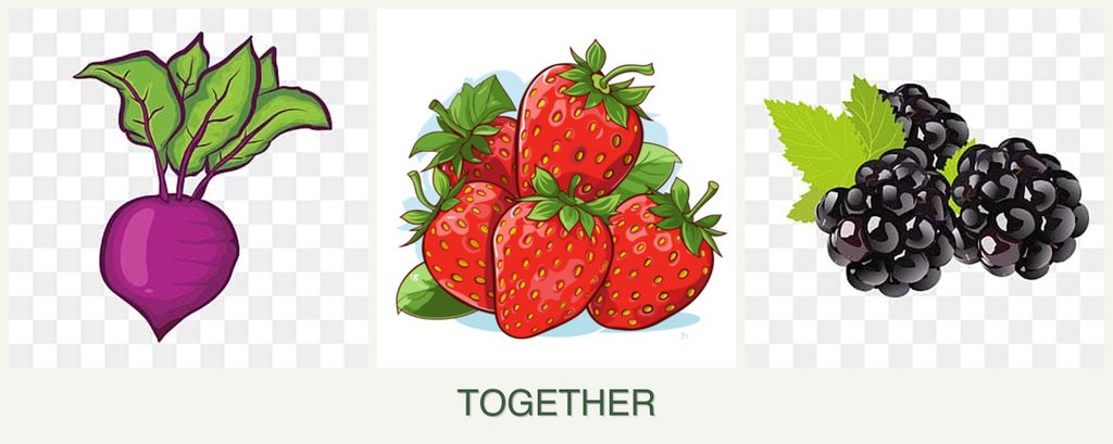 Can you plant beets, strawberries and blackberries together?