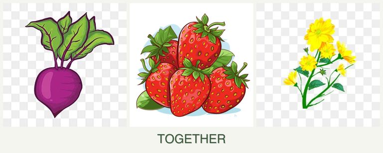 Can you plant beets, strawberries and calendula together?