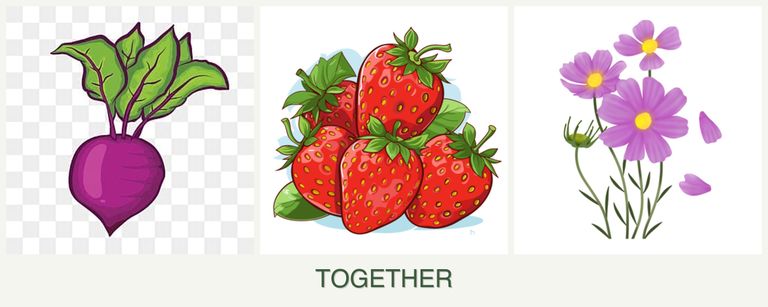 Can you plant beets, strawberries and cosmos together?