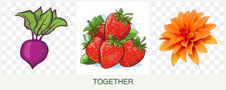 Can you plant beets, strawberries and dahlias together?