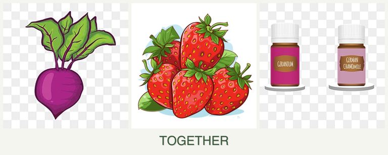Can you plant beets, strawberries and geraniums together?