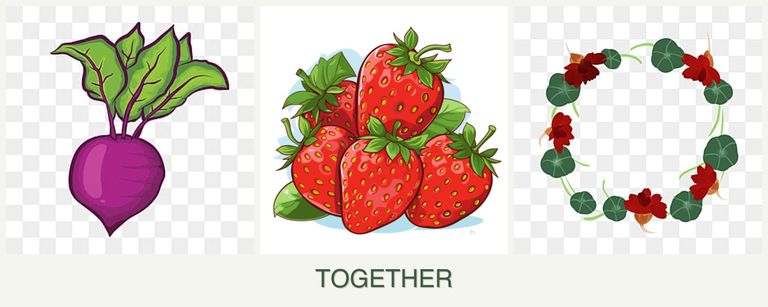 Can you plant beets, strawberries and nasturtiums together?