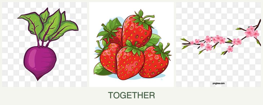 Can you plant beets, strawberries and peaches together?